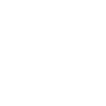 icons_FOUNDATION COURSE